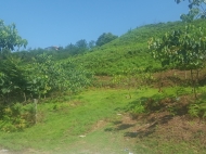 Земельный участок в Капрешуми, Батуми, Грузия. Фото 2