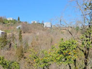 House for sale in a resort district of Bobokvati, Georgia. Photo 15