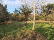 Land for sale near the sea in Gonio, Georgia. The project has a construction permit. Photo 4