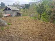 House to sale with a plot of  land and fruit garden, tangerine garden in Ahalisopeli, Georgia. Natural spring Photo 2