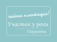 Земельный участок на продажу в Озургети, Грузия. Плантация чая. Фото 1