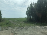 Продается земельный участок на берегу Черного моря в Шекветили, Грузия. Фото 1