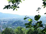 Land parcel, Ground area for sale in the suburbs of Batumi, Georgia. Photo 1