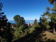 Продается земельный участок у моря в Махинджаури, Грузия. Вид на море и горы. Фото 3