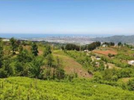 Продается земельный участок в пригороде Батуми, Грузия. Вид на море. Выгодно для инвестиционных проектов. Фото 2