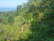 Участок в Цихисдзири. Земельный участок с видом на море и горы в Цихисдзири, Грузия. Фото 10