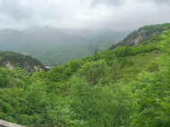 Купить дом с земельным участком в Они, Грузия. Продается земельный участок в живописном месте.  Фото 2