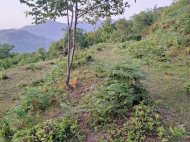 Land parcel, Ground area for sale in the suburbs of Batumi, Georgia. Sea view. Photo 4