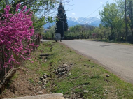 House for sale with a plot of land in the suburbs of Ozurgeti, Georgia. Photo 3