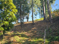 Land parcel, Ground area for sale at the seaside of Tsikhisdziri, Georgia. Sea view. Photo 4