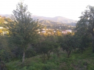 In the surroundings of Batumi, the land plot is sold Photo 1