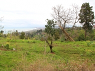 Участок с видом на море в Цихисдзири. Продается земельный участок в курортном районе Цихисдзири, Грузия. Фото 1