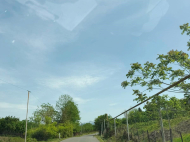 House for sale with a plot of land in the suburbs of Ozurgeti, Georgia. Orchard. Near the river. Photo 13