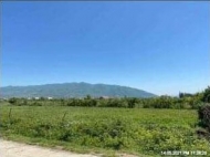 Land parcel, Ground area for sale in Natakhtari, Mtskheta, Georgia. The project has a construction permit. Photo 1