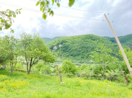 Ферма с земельным участком в Амбролаури, Грузия. Фото 3