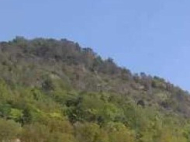 Купить частный дом в курортном районе Амбролаури, Грузия. Купить земельный участок в живописном месте. Фото 1