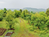 House for sale with a plot of land in Shroma, Georgia. Near the river. Photo 4