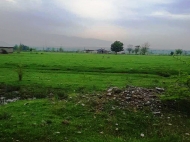 Продается земельный участок с фермой в пригороде Зестафони, Грузия. Действующий бизнес. Фото 8