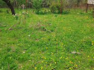 ყიდვა კერძო სახლის მიწის ნაკვეთით სამტრედიაში, საქართველო. ფოტო 3