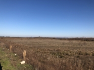 Ground area ( A plot of land ) for sale in Natanebi, Ozurgeti, Georgia.  Land with mountains view.     Photo 5