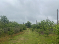 Купить частный дом с земельным участком в пригороде Озургети, Грузия. Природный родник. У реки. Фото 16