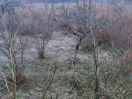 Купить дом с земельным участком в пригороде Супса, Грузия. У реки. Фото 9