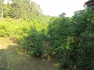 House for sale with a plot of land in Makhinjauri, Georgia. Photo 11