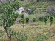 Продается земельный участок с видом на море и горы в Батуми, Грузия. Фото 9