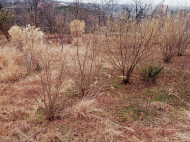 Land parcel, Ground area for sale in Kvirike, Georgia. Photo 1