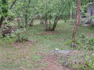 House for sale with a plot of land in the suburbs of Ozurgeti, Georgia. Photo 4