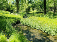 House for sale with a plot of land in the suburbs of Samtredia, Georgia. Photo 8