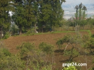 Land parcel for sale at the seaside of Gonio, Georgia. Photo 4