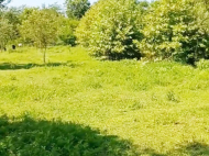 Продается частный дом с земельным участком в Абаша, Грузия. Фото 9