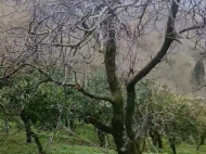 House for sale in a resort district of Chakvi, Georgia. Tangerine garden. Sea view. Photo 10