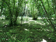 Купить частный дом с земельным участком в пригороде Сенаки, Грузия. Фото 11