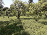 Land parcel, Ground area for sale in the suburbs of Batumi, Georgia. Photo 5