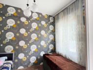 Продается частный дом с земельным участком в Эрге, Грузия. У реки. Природный родник. Фото 9