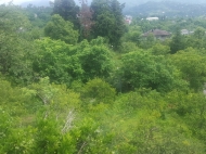 House for sale with tangerine garden in Kapresumi, Batumi, Georgia. House with mountains view. Photo 15