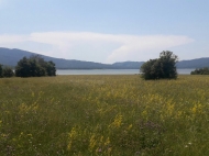 Продается земельный участок недалеко от озера Шаори Инвестиционная Рача. Грузия. Фото 1