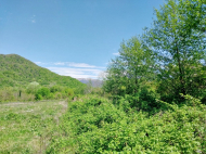 Sale of land in Lagodekhi. Kakheti, Georgia. Photo 1