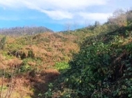 Продается земельный участок в пригороде Батуми, Ортабатуми. Фото 3