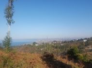 Land parcel for sale in Tsichisziri, Ajaria, Georgia. Land with with sea and mountains view.  Photo 1