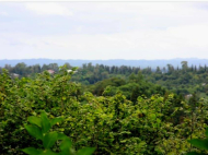 ვიყიდი კერძო სახლს საკურორტო რაიონში ქობულეთი, საქართველო. მდინარესთან. ფოტო 6