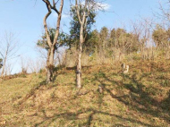 Продается земельный участок в пригороде Батуми. Тхилнари. Фото 2