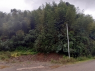 Ground area ( A plot of land ) for sale at the seaside of Tsikhisdziri, Adjara, Georgia. With view of the sea Photo 10