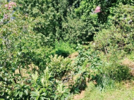 Renovated house for sale in Batumi, Georgia. House with sea and сity view. Photo 9