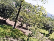 Land parcel, Ground area for sale in the suburbs of Batumi, Khelvachauri. Orchard. Photo 4