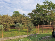 Land parcel, Ground area for sale in the suburbs of Zugdidi, Georgia. Walnut garden. Near the river. Photo 4