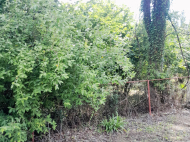 Купить частный дом с земельным участком в пригороде Сенаки, Грузия. Фото 10