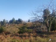 Земельный участок с видом на море и горы. Цихисдзири, Аджария, Грузия. Фото 8